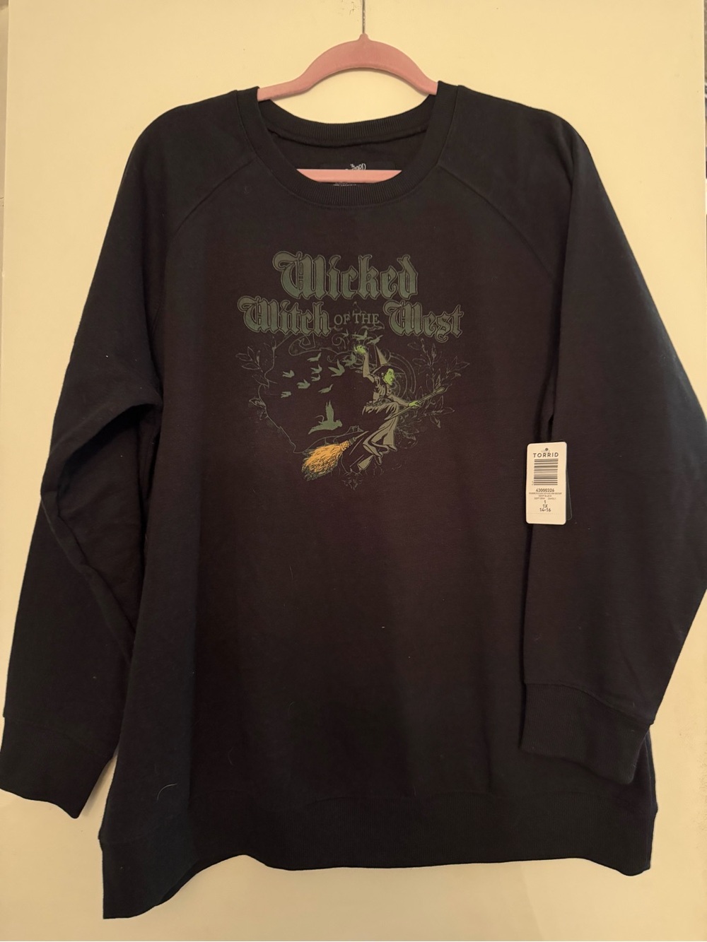 Torrid Wicked Witch of the West Black Graphic Sweatshirt